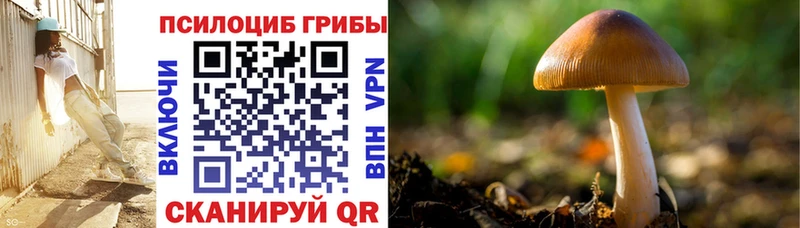 Галлюциногенные грибы мухоморы  наркотики  Новоалександровск 